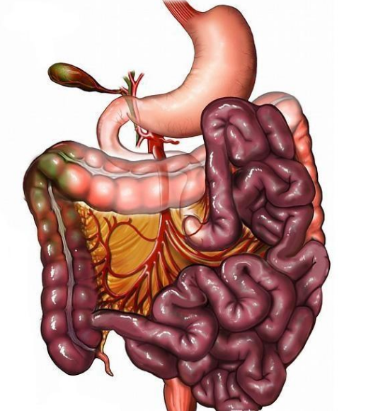 腸息肉者，排便出現(xiàn)3個(gè)異常，十有八九息肉已變成“癌”
